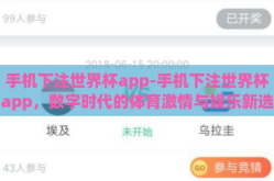 手机下注世界杯app-手机下注世界杯app，数字时代的体育激情与娱乐新选择