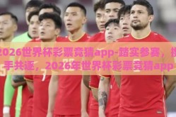 2026世界杯彩票竞猜app-踏实参赛，携手共逐，2026年世界杯彩票竞猜app的未来展望