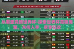 从哪里竞猜世界杯-探索世界杯竞猜奥秘，从何入手，尽享狂欢