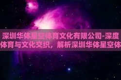 深圳华体星空体育文化有限公司-深度体育与文化交织，解析深圳华体星空体育文化有限公司的多元化发展路径