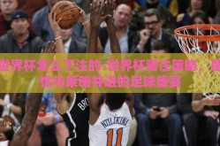 世界杯怎么下注的-世界杯赌注策略，理性与策略并进的足球盛宴