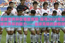 足球世界杯在哪里竞猜-探寻2023年足球世界杯的魅力——全球竞猜的激情时刻