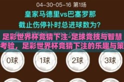 足彩世界杯竞猜下注-足球竞技与智慧考验，足彩世界杯竞猜下注的乐趣与策略
