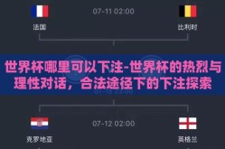 世界杯哪里可以下注-世界杯的热烈与理性对话，合法途径下的下注探索
