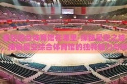 星空综合体育馆在哪里-探秘星空之城，揭秘星空综合体育馆的独特魅力与所在地