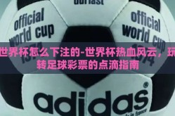 世界杯怎么下注的-世界杯热血风云，玩转足球彩票的点滴指南