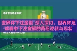 世界杯下注金额-深入探讨，世界杯足球赛中下注金额的背后逻辑与现状