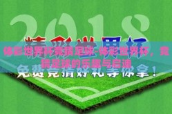 体彩世界杯竞猜足球-体彩世界杯，竞猜足球的乐趣与启迪