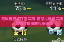 足球世界杯在哪竞猜-足球世界杯竞猜，激情与猜测的完美碰撞