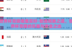 世界杯竞猜哪里买好-智选观赛之道，世界杯竞猜的乐趣与安全之选