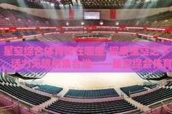星空综合体育馆在哪里-探索星空之下，活力无限的集合地——星空综合体育馆的奇妙之旅