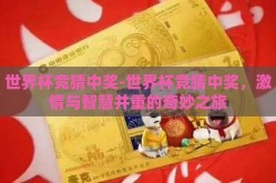 世界杯竞猜中奖-世界杯竞猜中奖，激情与智慧并重的奇妙之旅