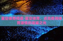星空体育频道-星空体育，点亮夜间体育激情的璀璨之光