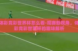 体彩竞彩世界杯怎么看-观赛新视角，体彩竞彩世界杯的趣味解析