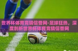 世界杯体育竞猜信誉网-足球狂热，深度剖析世界杯体育竞猜信誉网