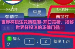 世界杯投注竞猜在哪-开口竞猜，揭秘世界杯投注的正确门径