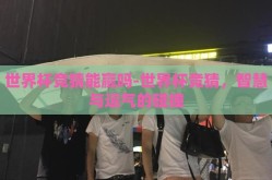 世界杯竞猜能赢吗-世界杯竞猜，智慧与运气的碰撞