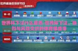 世界杯下注什么意思-世界杯下注，热烈与风险交织的体育届盛事