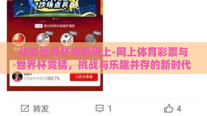 体彩世界杯竞猜网上-网上体育彩票与世界杯竞猜，挑战与乐趣并存的新时代体验