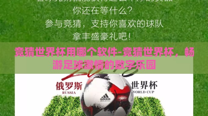 竞猜世界杯用哪个软件-竞猜世界杯,畅游足球激情的数字乐园 竞猜世界杯用哪个软件-竞猜世界杯,畅游足球激情的数字乐园