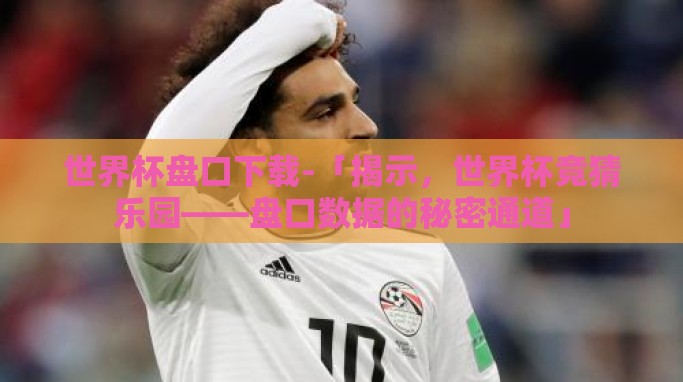 世界杯盘口下载-「揭示,世界杯竞猜乐园——盘口数据的秘密通道」 世界杯盘口下载-「揭示,世界杯竞猜乐园——盘口数据的秘密通道」