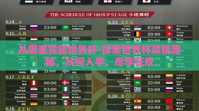 从哪里竞猜世界杯-探索世界杯竞猜奥秘,从何入手,尽享狂欢 从哪里竞猜世界杯-探索世界杯竞猜奥秘,从何入手,尽享狂欢