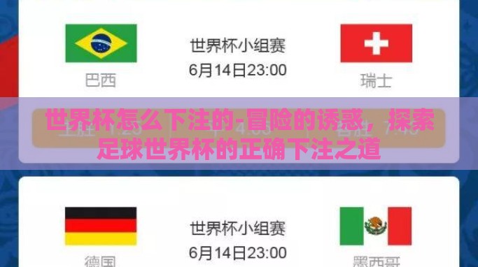世界杯怎么下注的-冒险的诱惑，探索足球世界杯的正确下注之道