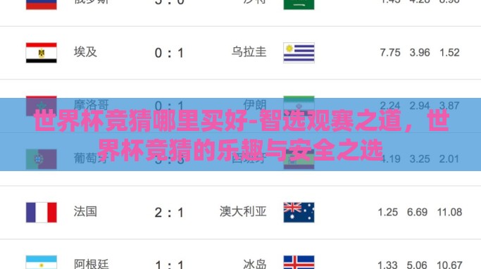 世界杯竞猜哪里买好-智选观赛之道，世界杯竞猜的乐趣与安全之选