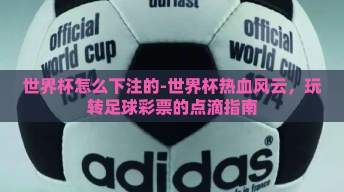 世界杯怎么下注的-世界杯热血风云,玩转足球彩票的点滴指南 世界杯怎么下注的-世界杯热血风云,玩转足球彩票的点滴指南