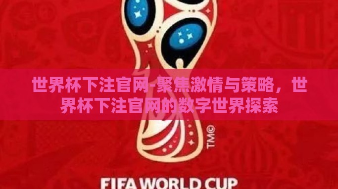 世界杯下注官网-聚焦激情与策略,世界杯下注官网的数字世界探索 世界杯下注官网-聚焦激情与策略,世界杯下注官网的数字世界探索