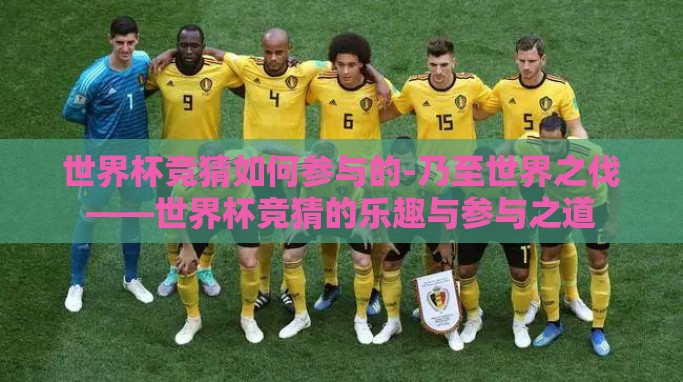 世界杯竞猜如何参与的-乃至世界之伐——世界杯竞猜的乐趣与参与之道