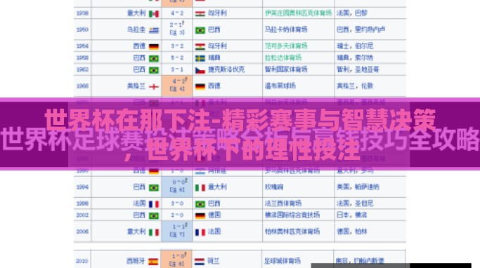 世界杯在那下注-精彩赛事与智慧决策，世界杯下的理性投注