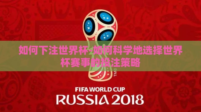 如何下注世界杯-如何科学地选择世界杯赛事的投注策略