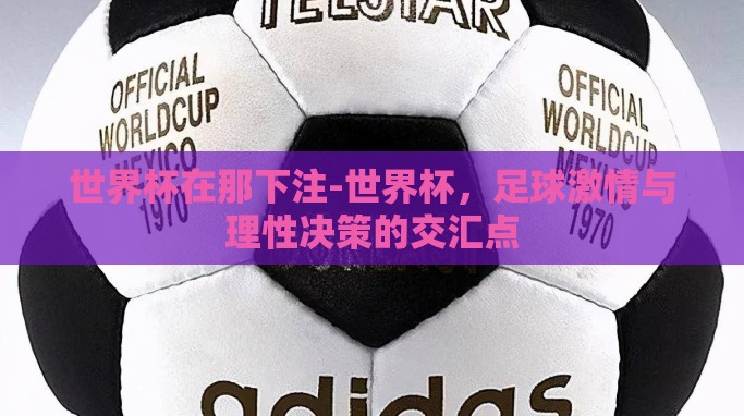 世界杯在那下注-世界杯,足球激情与理性决策的交汇点 世界杯在那下注-世界杯,足球激情与理性决策的交汇点