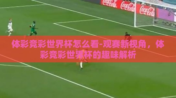 体彩竞彩世界杯怎么看-观赛新视角，体彩竞彩世界杯的趣味解析