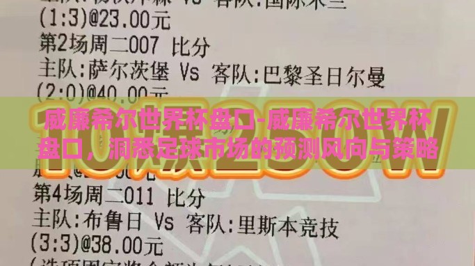威廉希尔世界杯盘口-威廉希尔世界杯盘口,洞悉足球市场的预测风向与策略 威廉希尔世界杯盘口-威廉希尔世界杯盘口,洞悉足球市场的预测风向与策略