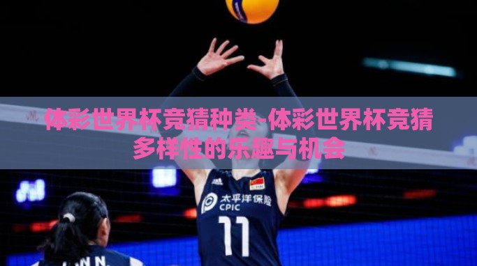 体彩世界杯竞猜种类-体彩世界杯竞猜多样性的乐趣与机会
